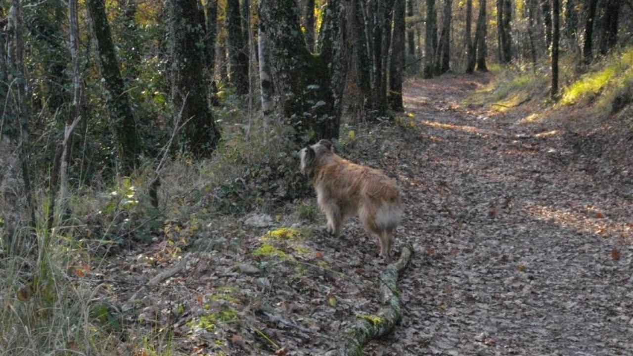 Photo of Others in Pampelonne