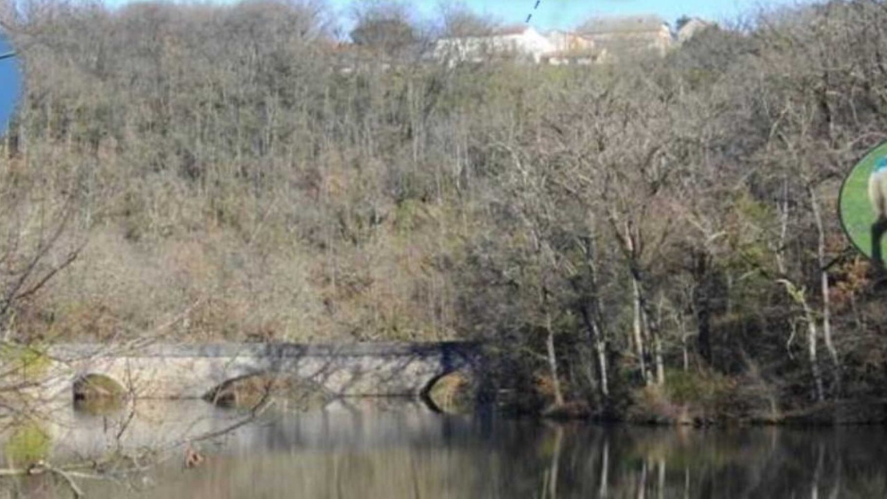 Photo of Others in Pampelonne