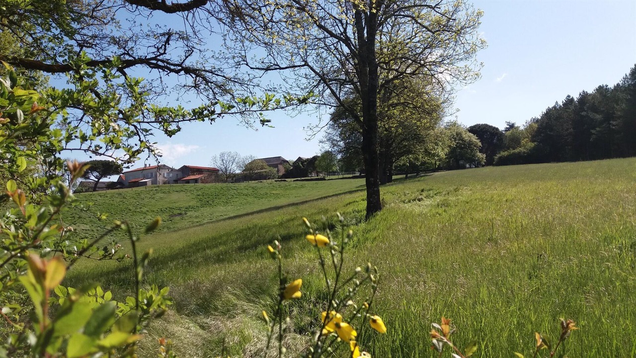 Photo of Others in Pampelonne