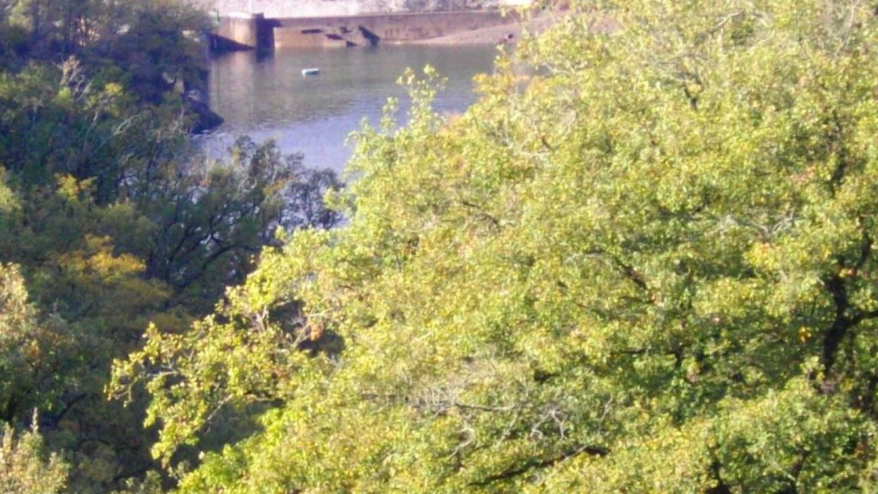 Photo of Others in Pampelonne