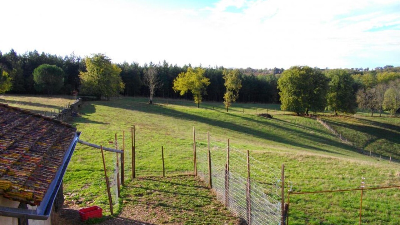 Photo of Outdoor in Pampelonne