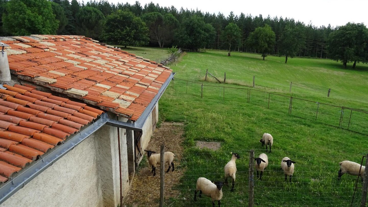 Photo of Others in Pampelonne