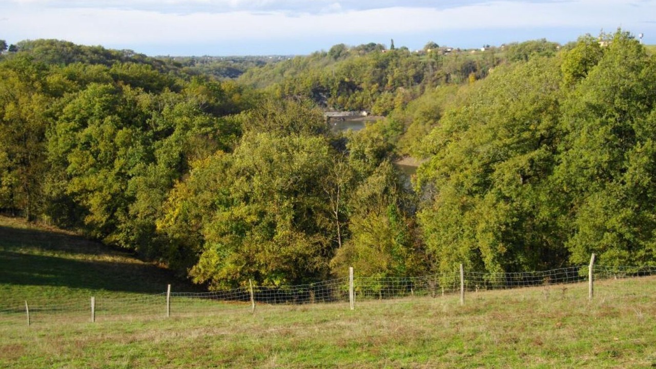 Photo of Others in Pampelonne