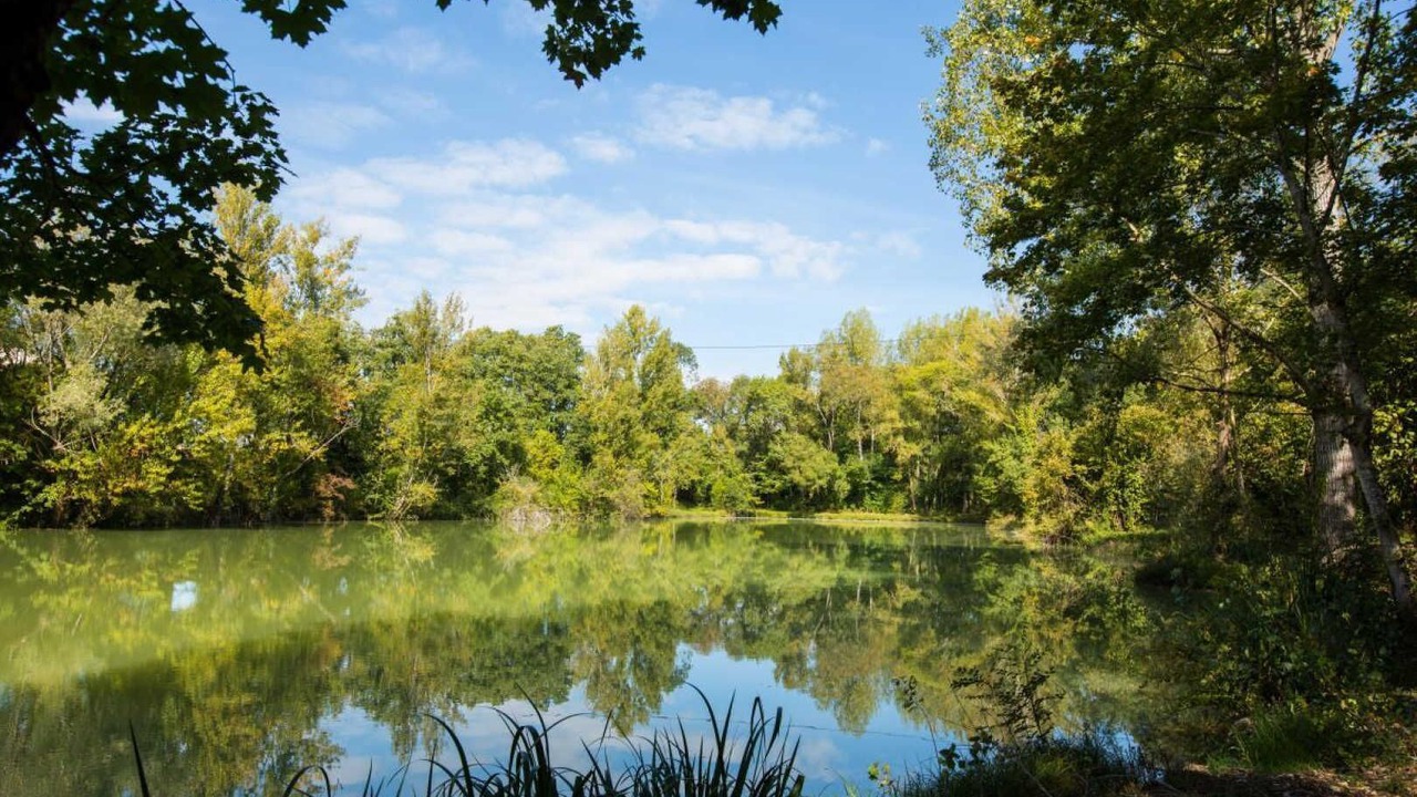 Photo of Others in Cestayrols