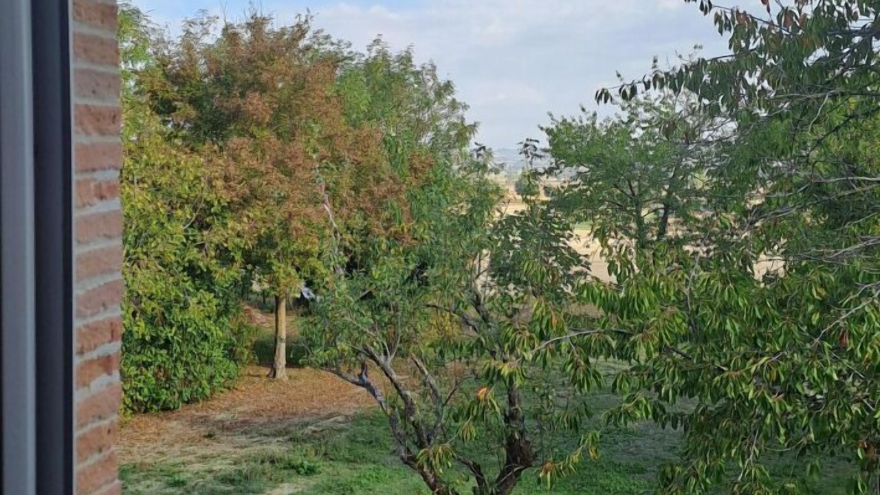 Photo of Others in Montgey