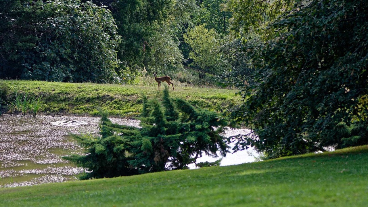 Photo of Others in Giroussens
