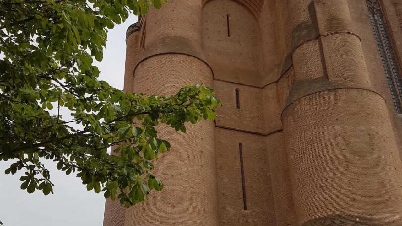 Photo of Others in Albi