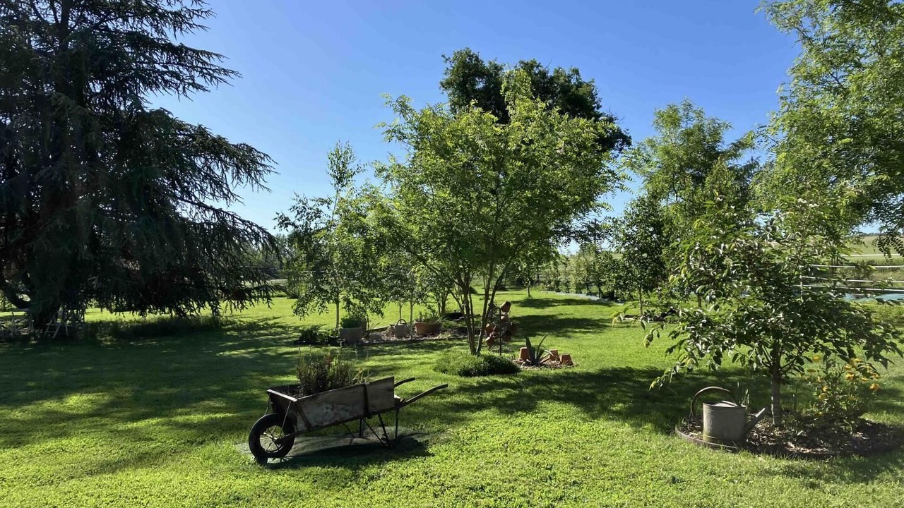 Photo of Others in Montans