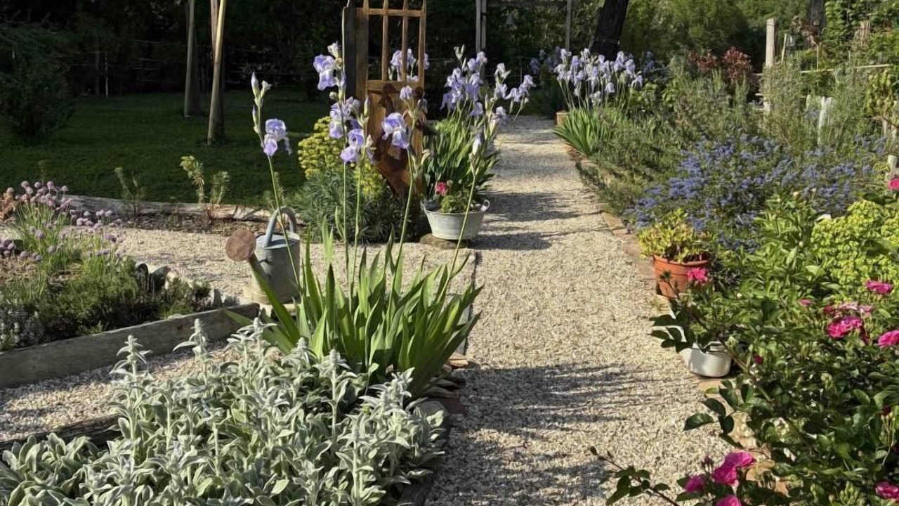 Photo of Outdoor in Montans