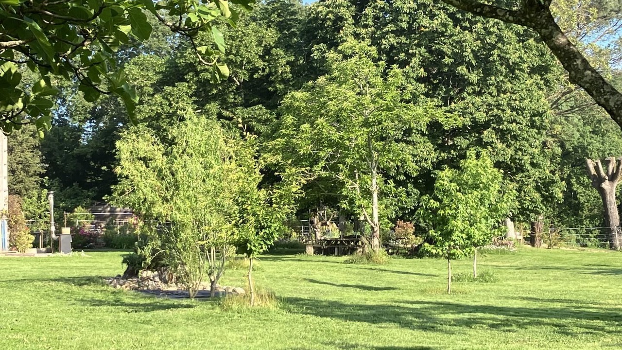 Photo of Outdoor in Montans