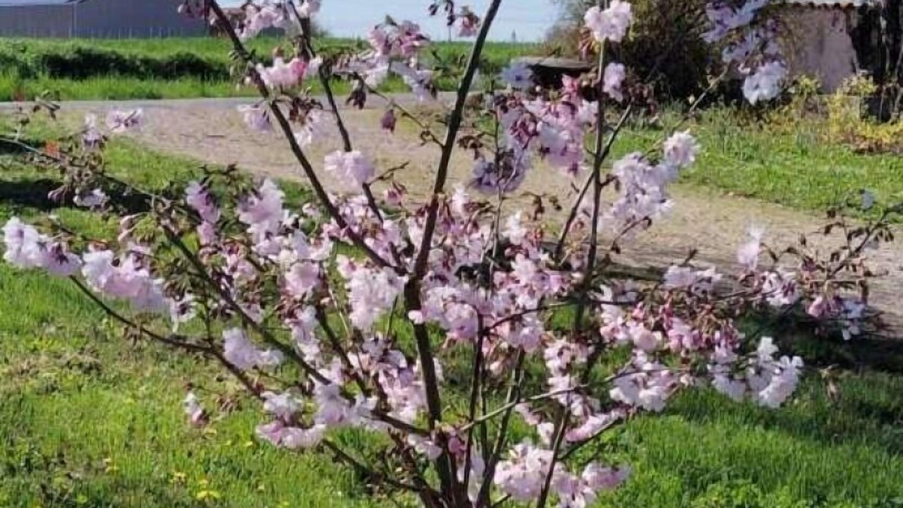 Photo of Outdoor in Montans