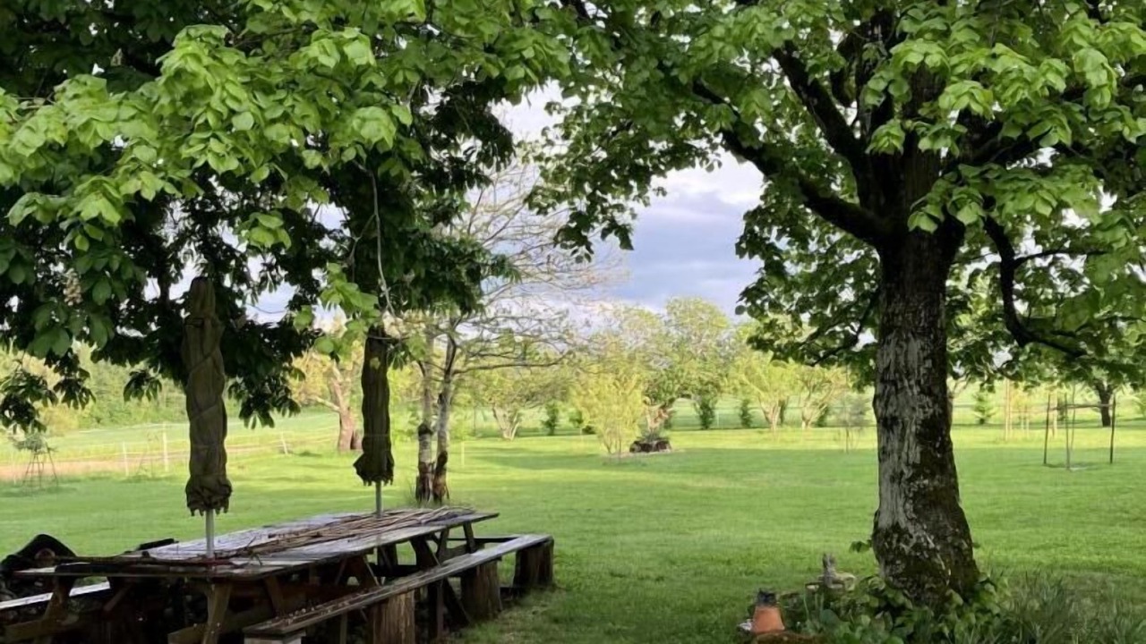 Photo of Outdoor in Montans