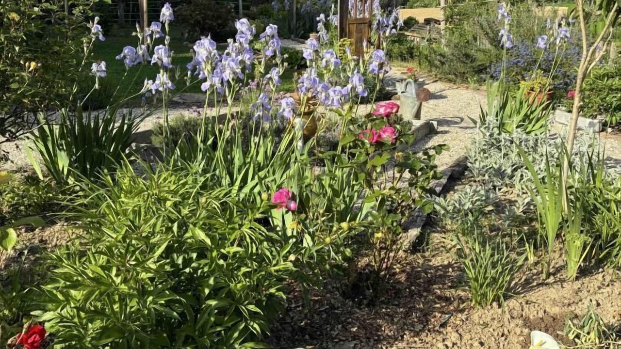 Photo of Outdoor in Montans