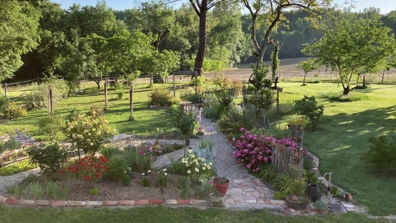 Photo of Outdoor in Montans