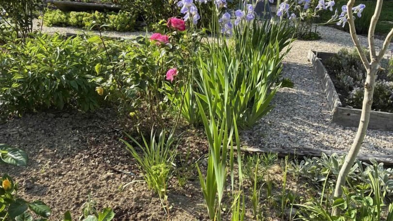 Photo of Outdoor in Montans