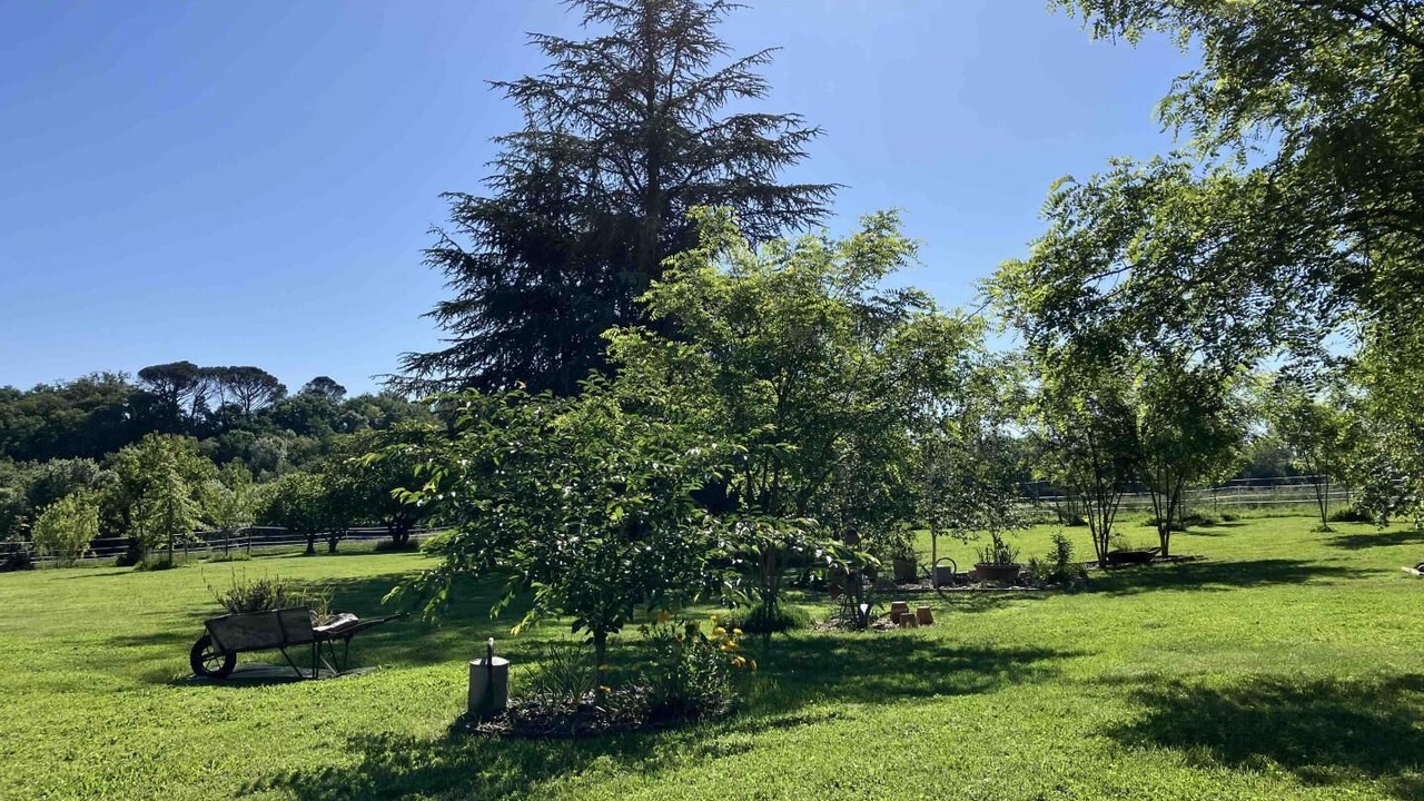 Photo of Others in Montans