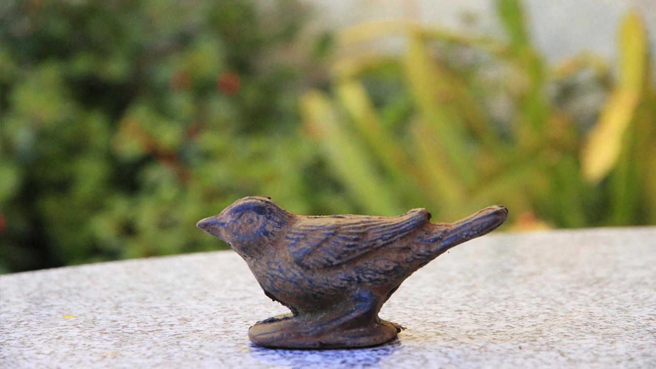 Photo of Others in Labruguiere