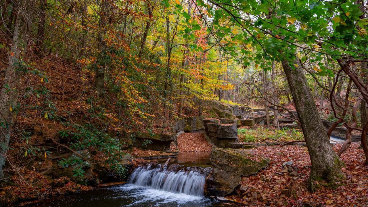 Photo of Outdoor in Big Canoe