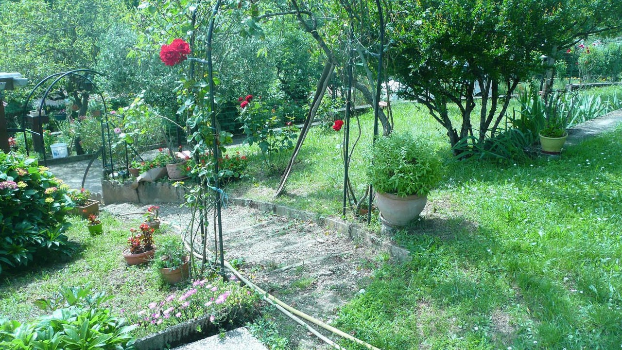 Photo of Outdoor in Noailhac