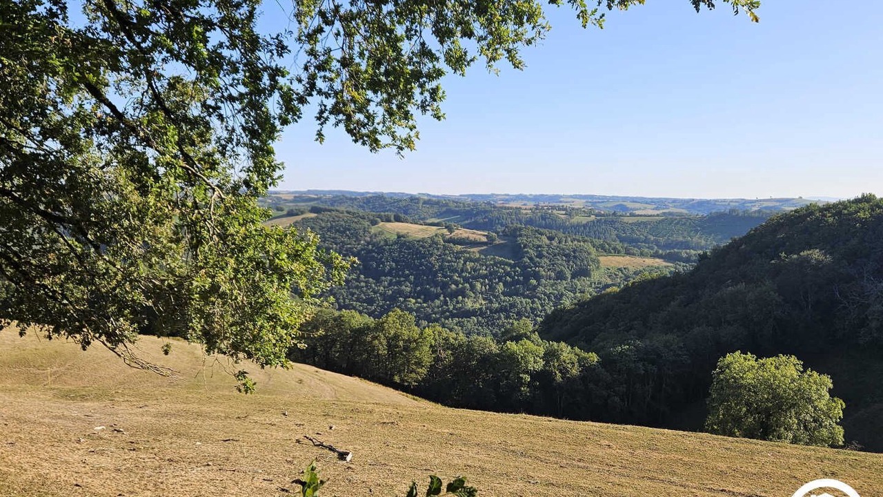 Photo of Others in Paulinet