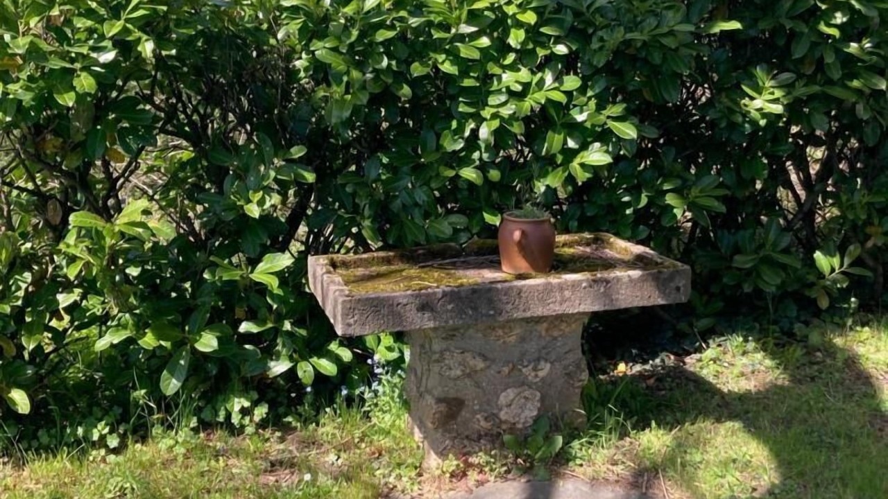 Photo of Outdoor in Paulinet