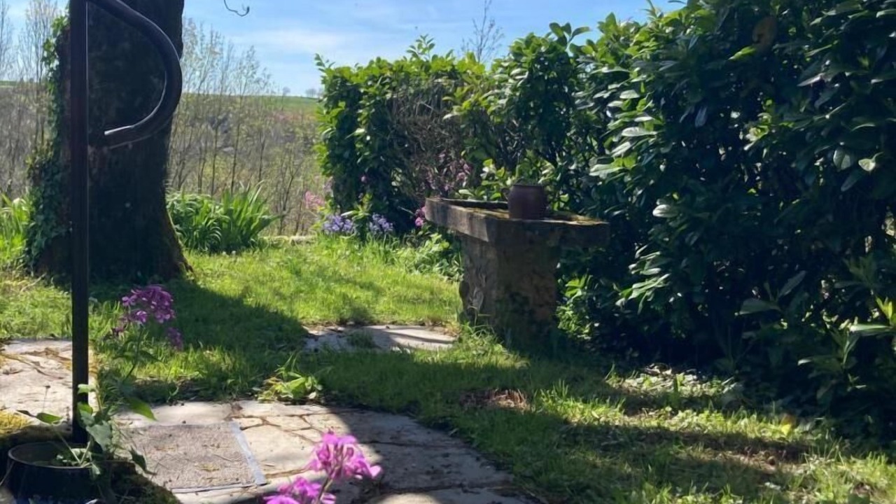 Photo of Outdoor in Paulinet