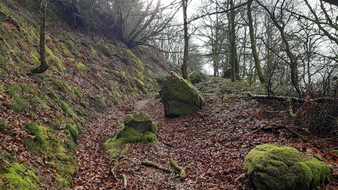 Photo of Others in Murat-sur-Vebre