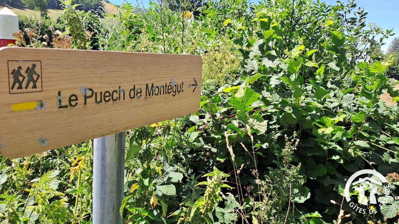 Photo of Outdoor in Murat-sur-Vebre