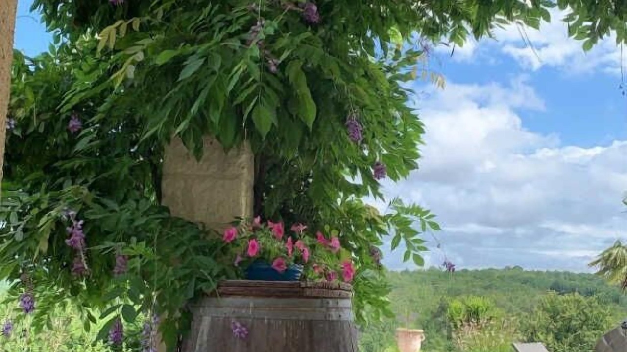 Photo of Patio Balcony in La Sauziere-Saint-Jean