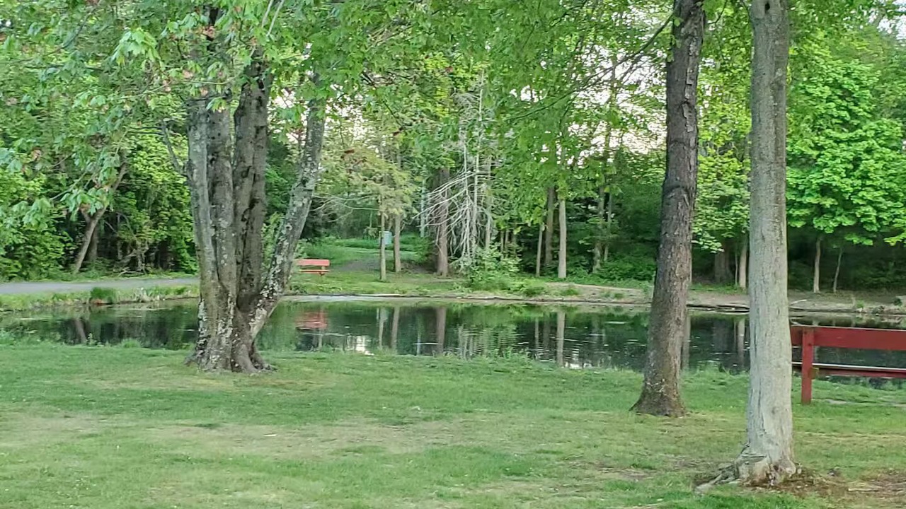 Photo of Others in New Britain