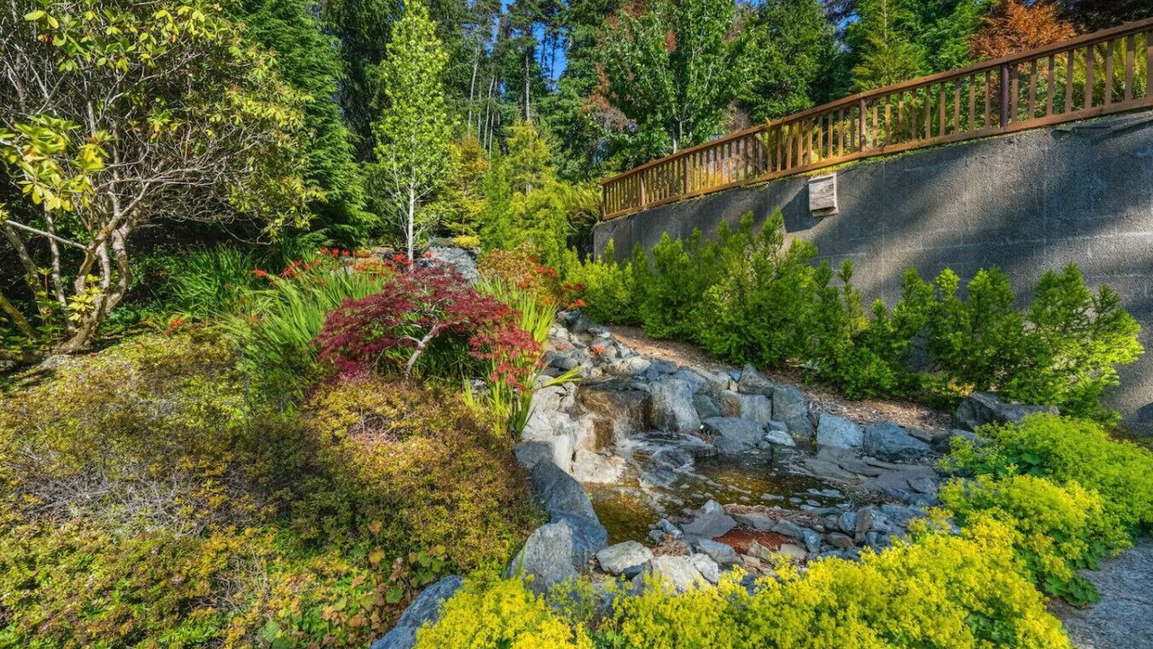 Photo of Outdoor in Saunders Lake