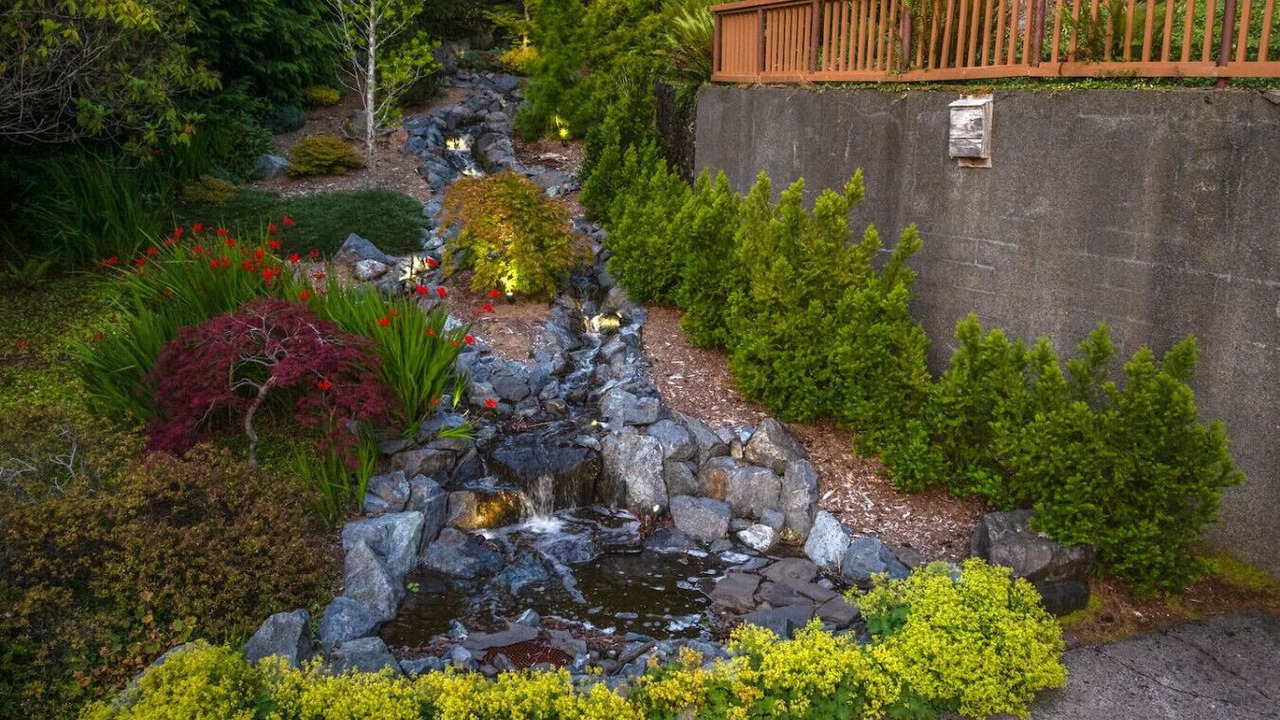 Photo of Outdoor in Saunders Lake