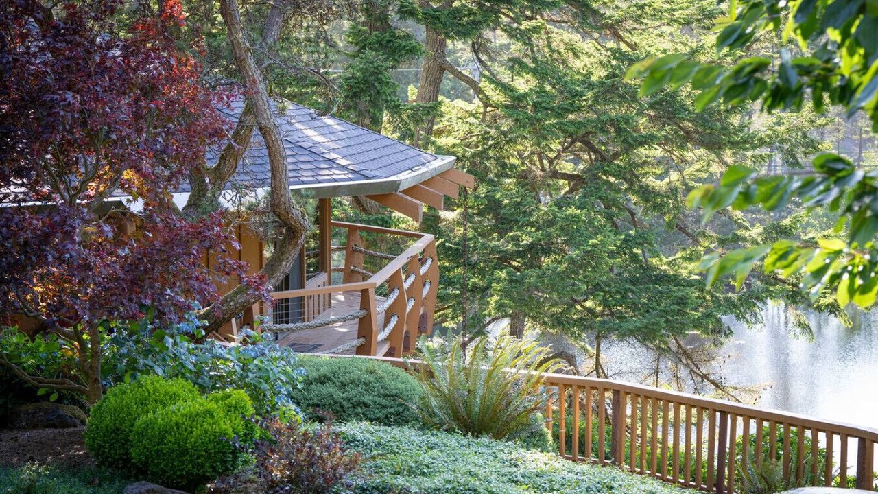 Photo of Outdoor in Saunders Lake