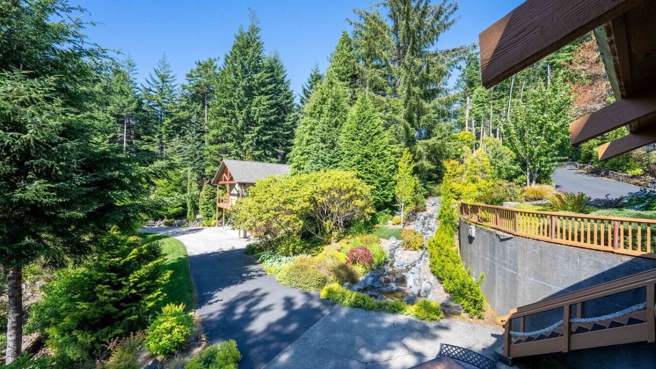 Photo of Outdoor in Saunders Lake