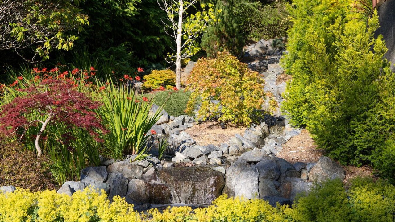 Photo of Outdoor in Saunders Lake