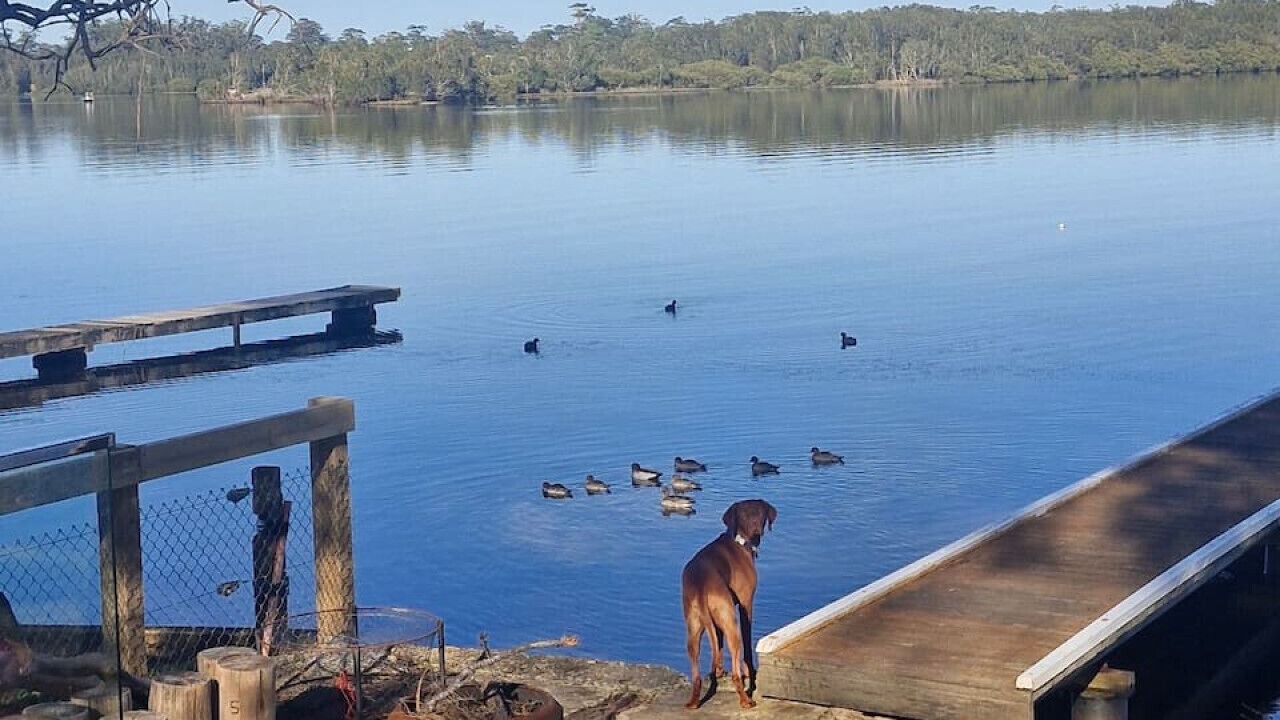 Photo of Others in Erowal Bay