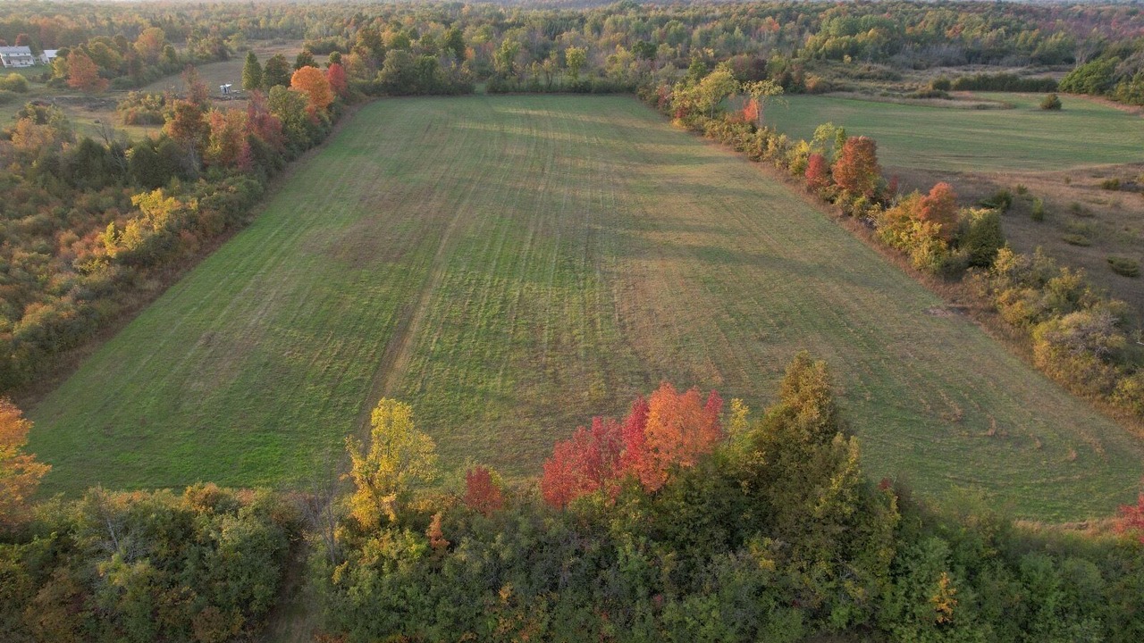 Photo of Outdoor in Montague
