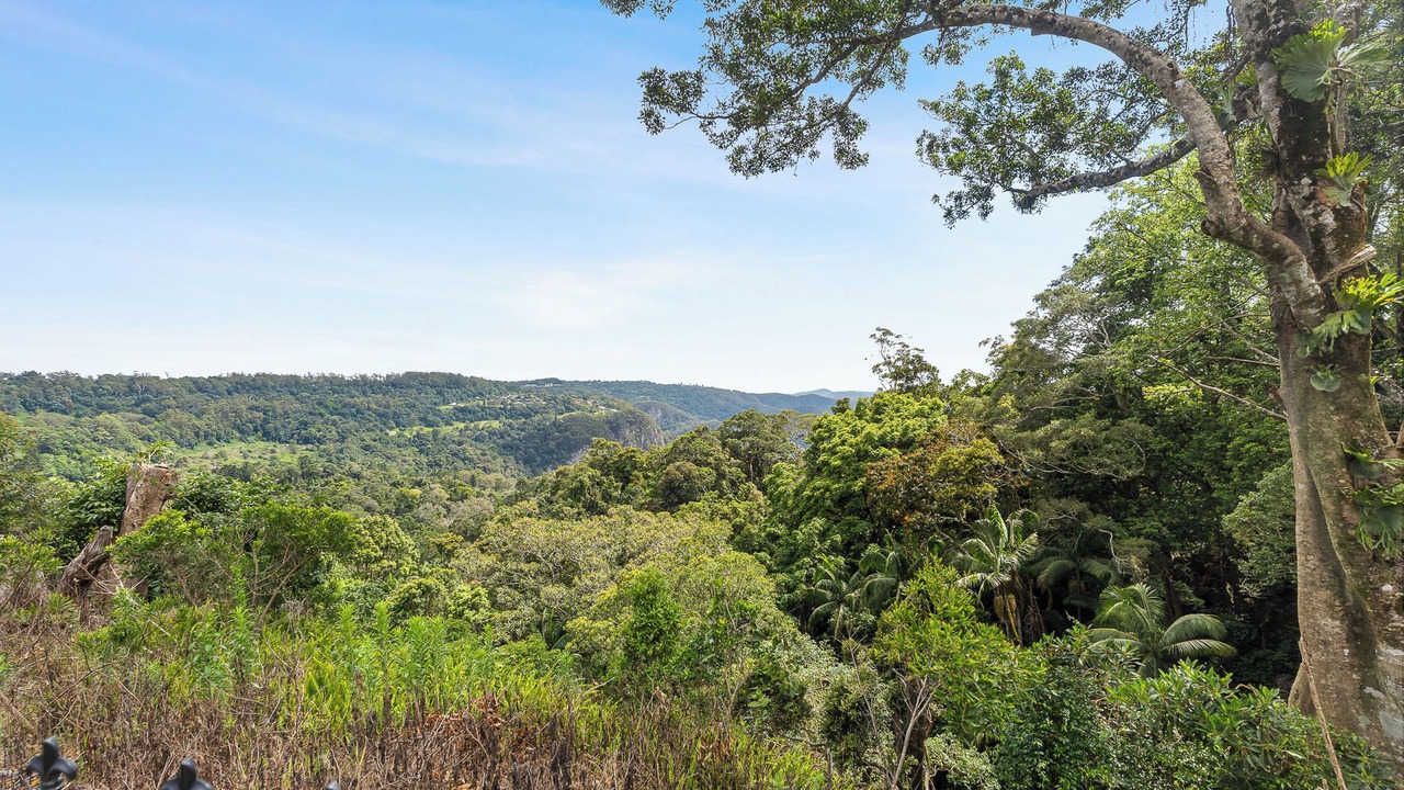 Photo of Outdoor in Mount Tamborine