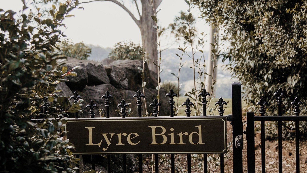 Photo of Outdoor in Mount Tamborine