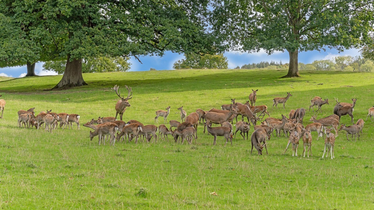 Photo of Others in Erlestoke