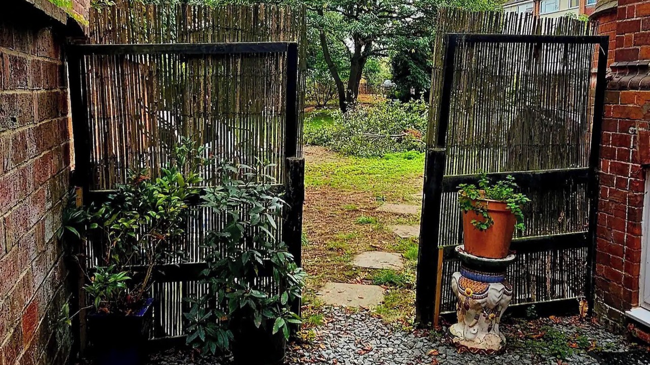 Photo of Others in Reading