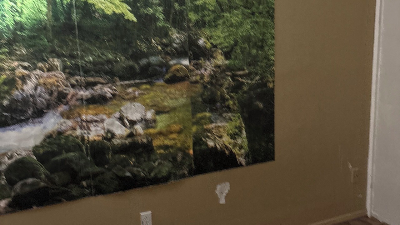 Photo of Others in Northwest Orlando