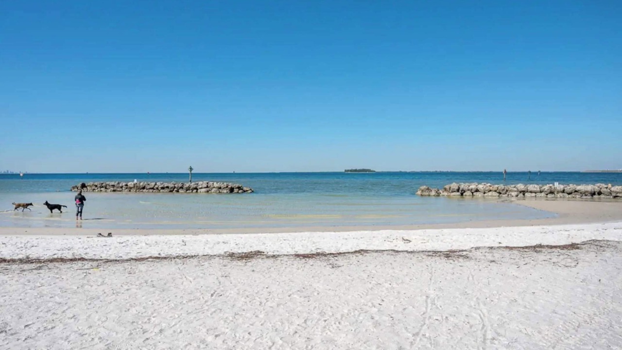 Photo of Others in Apollo Beach
