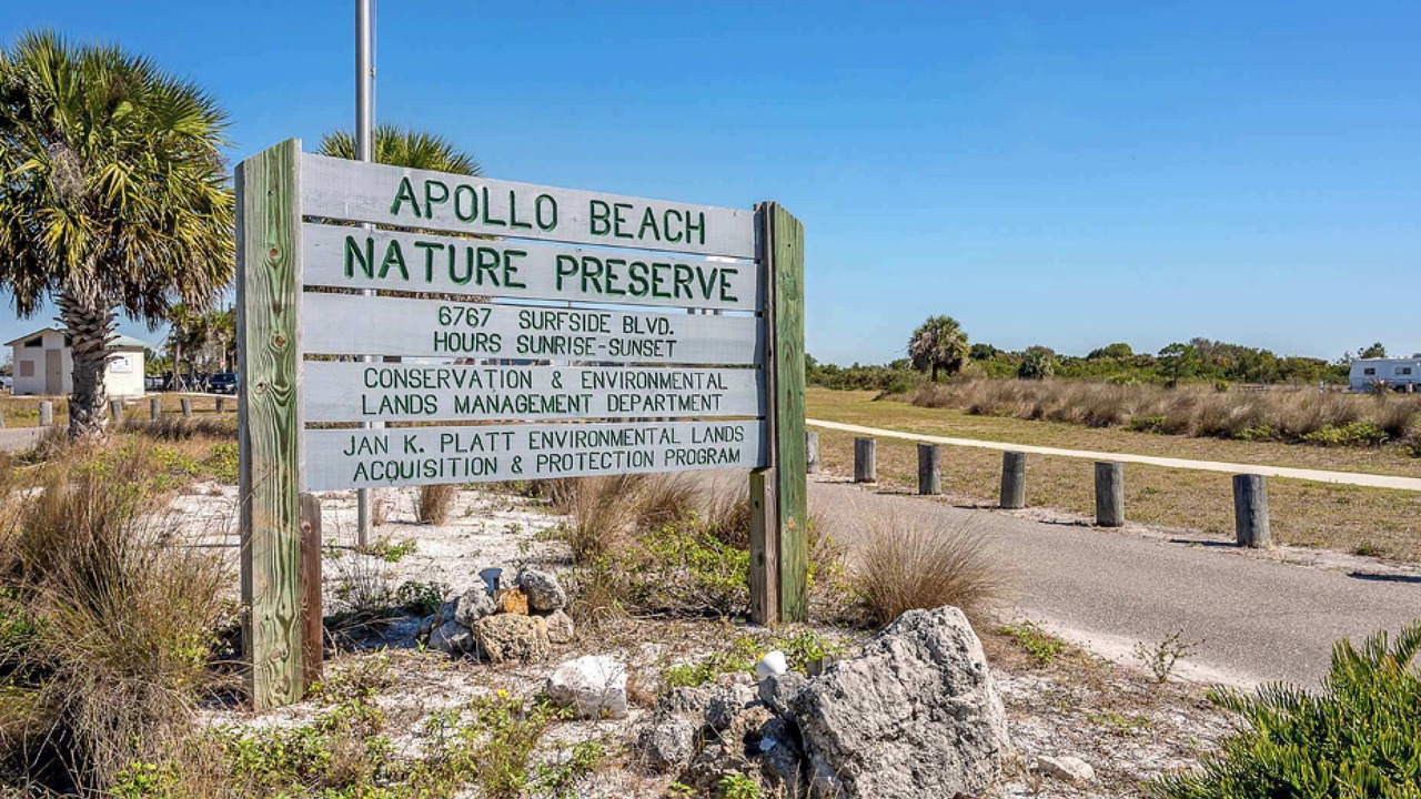 Photo of Others in Apollo Beach