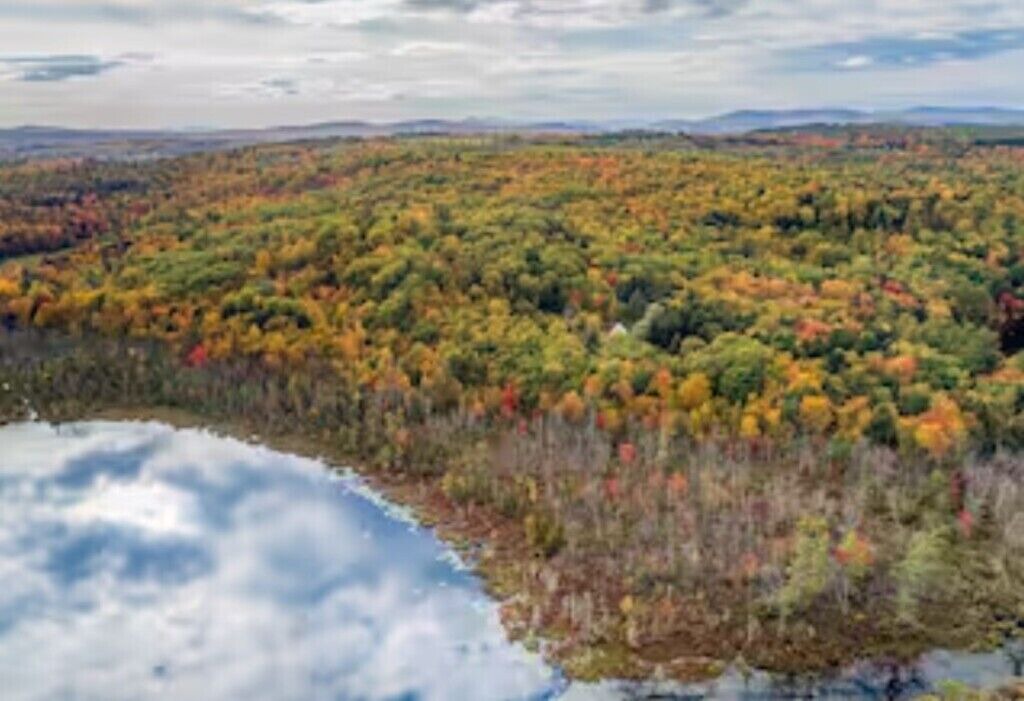 Photo of Others in Jay