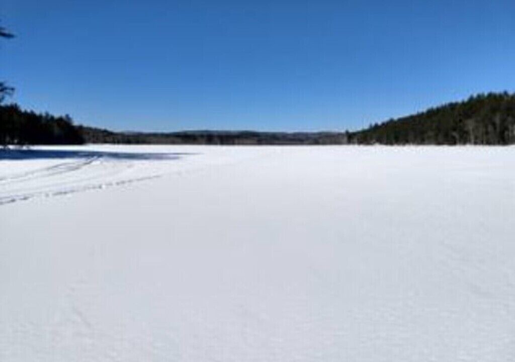 Photo of Others in Jay