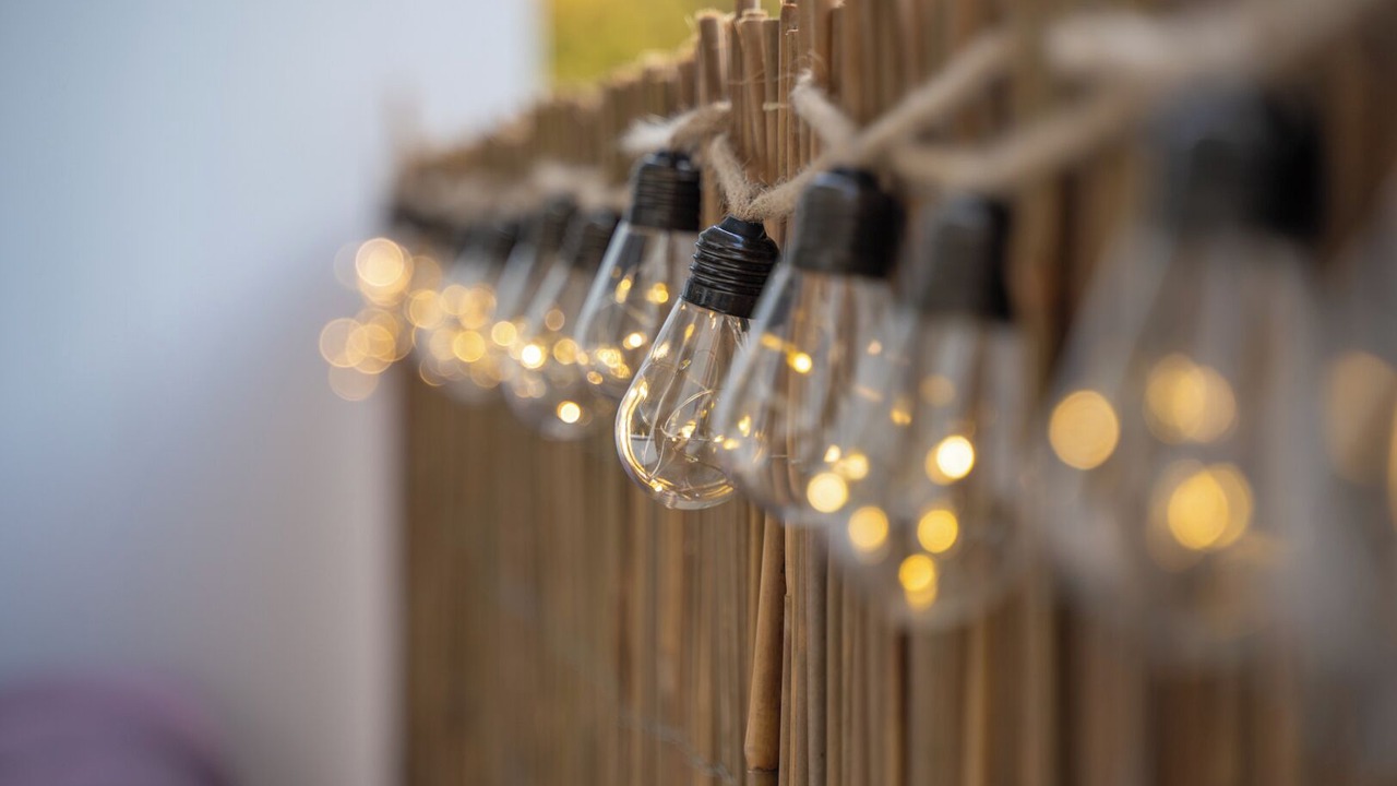 Photo of Others in Gundeldingen