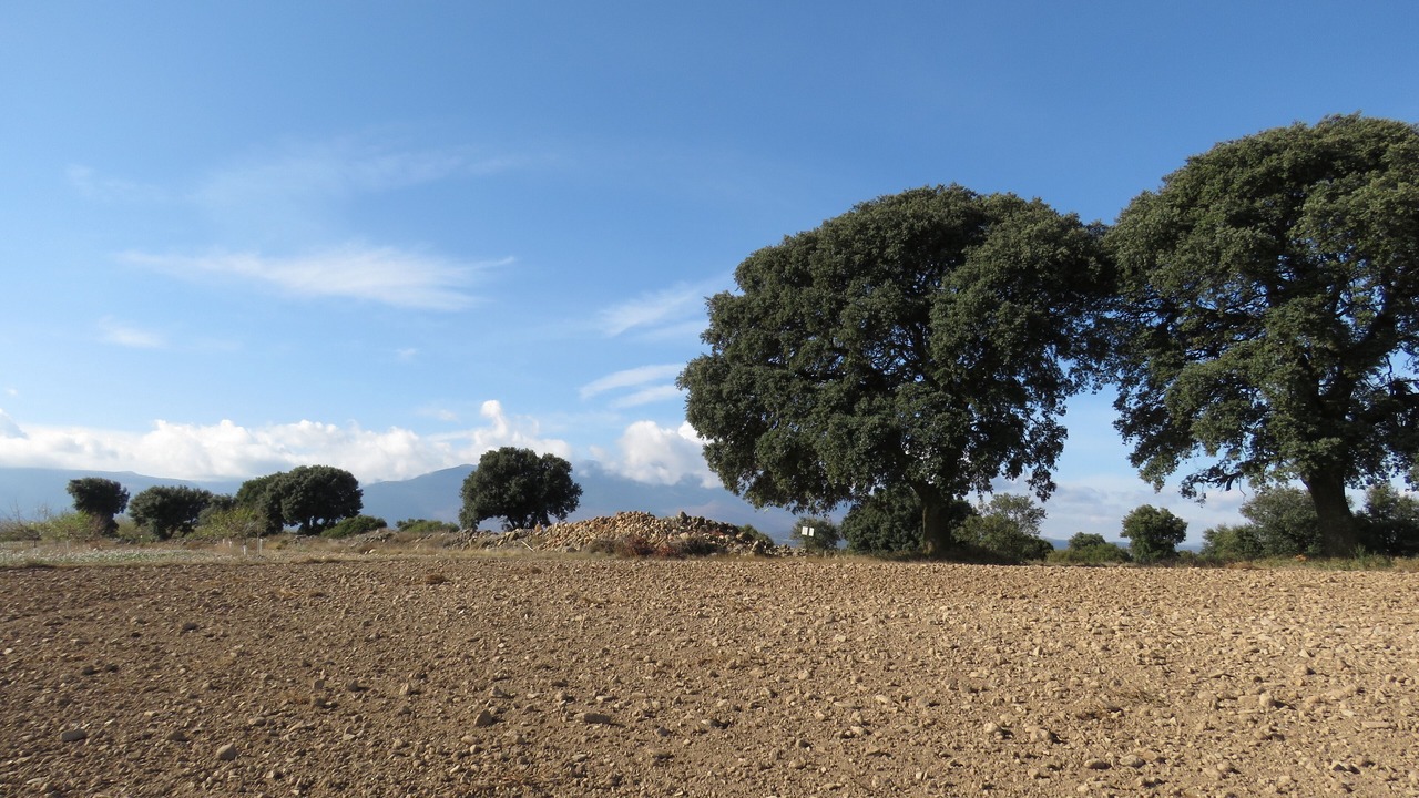 Photo of Others in Ambel