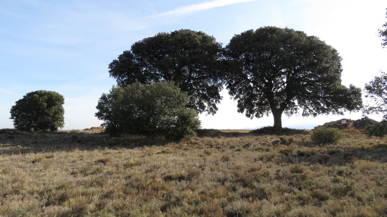 Photo of Others in Ambel