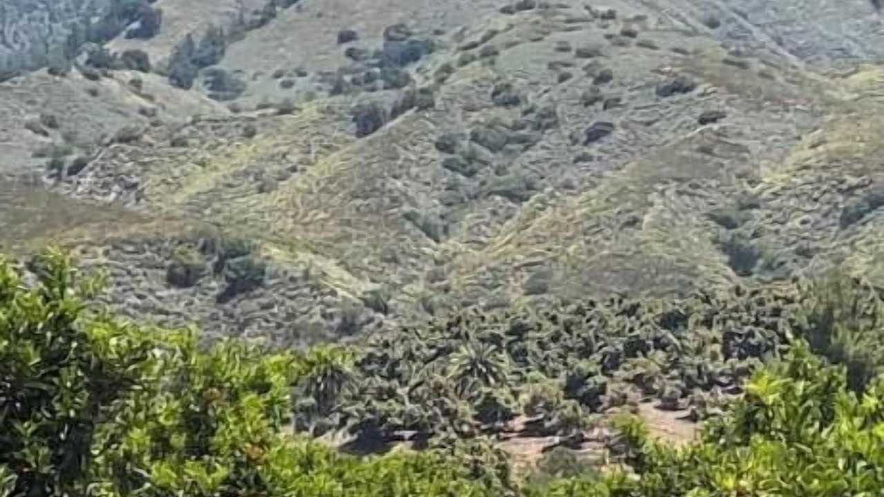 Photo of Others in Pauma Valley